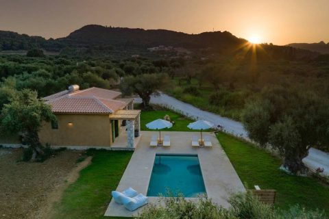 Terra Oleana • Homa