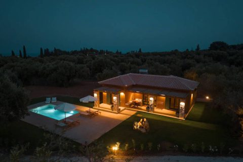 Terra Oleana • Homa