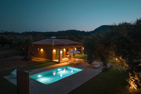 Terra Oleana • Homa