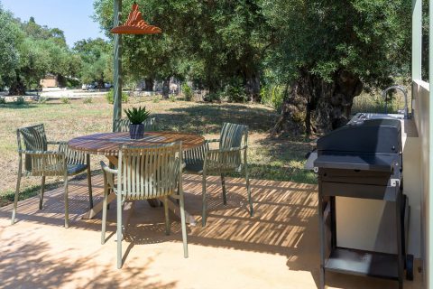 Terra Oleana • Homa