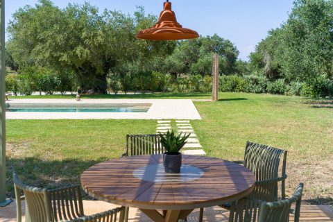 Terra Oleana • Homa