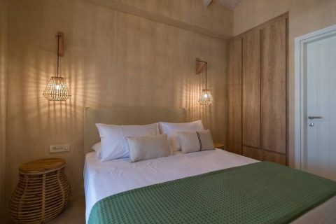 Terra Oleana • Homa