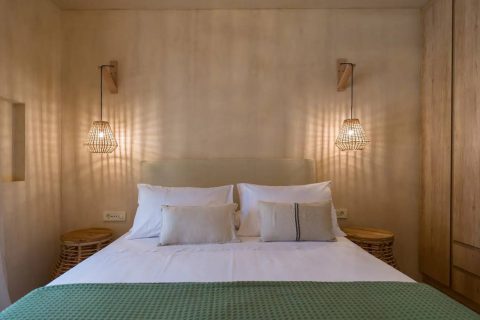 Terra Oleana • Homa