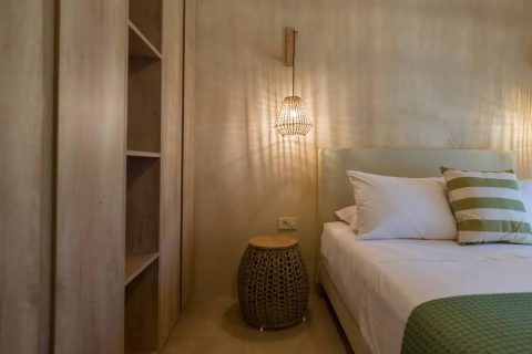 Terra Oleana • Homa