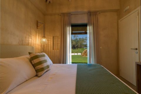 Terra Oleana • Homa