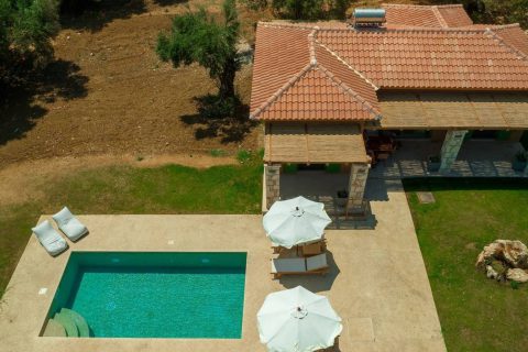 Terra Oleana • Homa