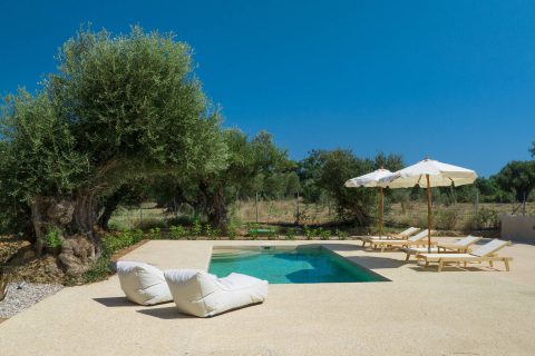 Terra Oleana • Carpos