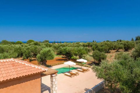 Terra Oleana • Carpos