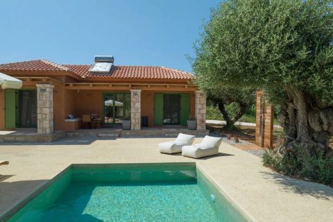 Terra Oleana • Carpos