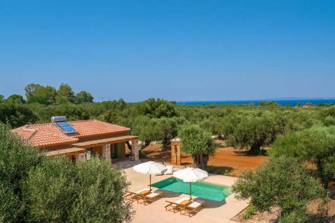 Terra Oleana • Carpos