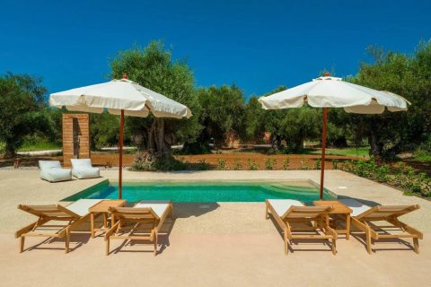 Terra Oleana • Carpos