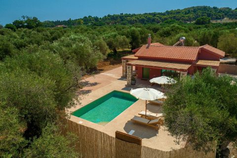 Terra Oleana • Riza