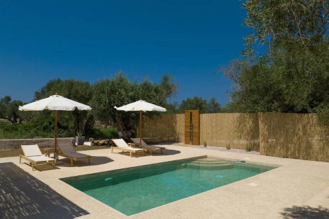 Terra Oleana • Riza