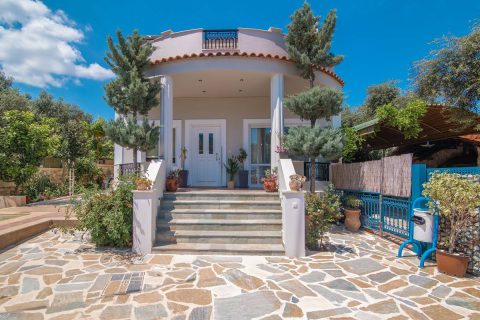 Zamor Family Villa 1